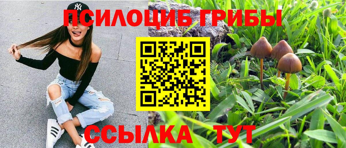 Галлюциногенные грибы Psilocybe Ишимбай