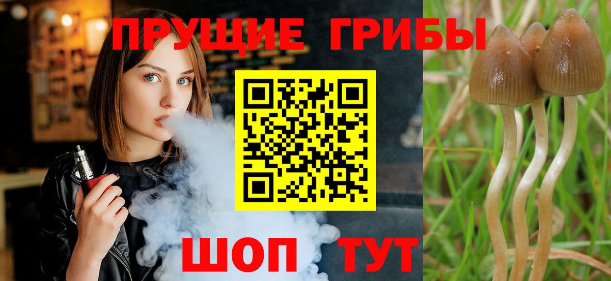 Ишимбай  Псилоцибиновые грибы прущие грибы  Вход с VPN  Псилоцибиновые грибы прущие грибы 